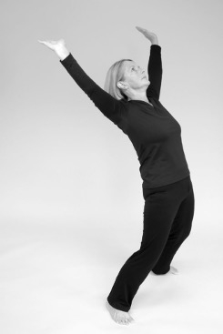 Dickdarm Meridian F. Teschler